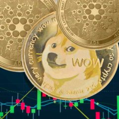 Dogecoin Millionaire Says He’s Going ‘All in’ on Cardano — Bullish on Both DOGE and ADA