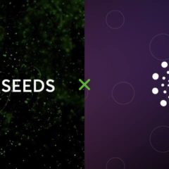 Nodeseeds Launches Three-Tier Membership to Ensure Transparency and Fair Allocation of Projects