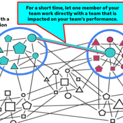 How innovative Open Organization charts work in practice