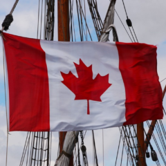 ‘Canada is a Video Piracy Hotspot While Brazil Sees Piracy in Decline’