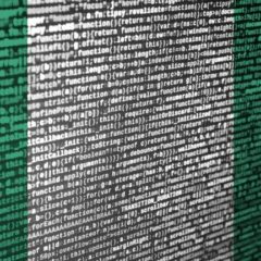 Nigeria Considers Domestic Blockchain for Data Security